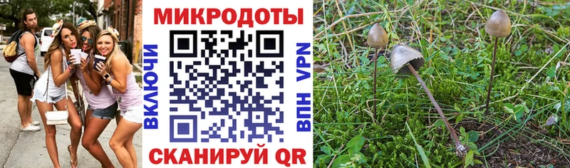 Псилоцибиновые грибы GOLDEN TEACHER  Купить  Харабали 
